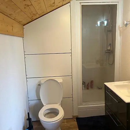 Stunning With Views Over Geneva * Thollon-les-Memises
