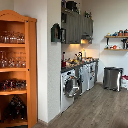 Apartment Stunning With Views Over Geneva *