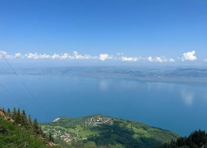 Stunning With Views Over Geneva Appartamento Thollon-les-Memises